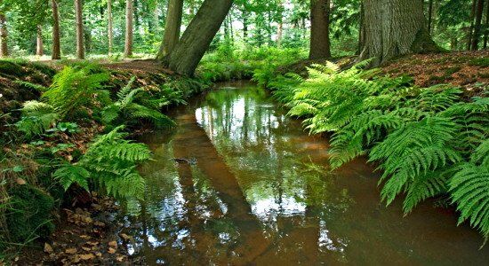  www.hollandgroen.nl